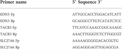 An integrative analysis of DNA methylation and gene expression to predict lung adenocarcinoma prognosis